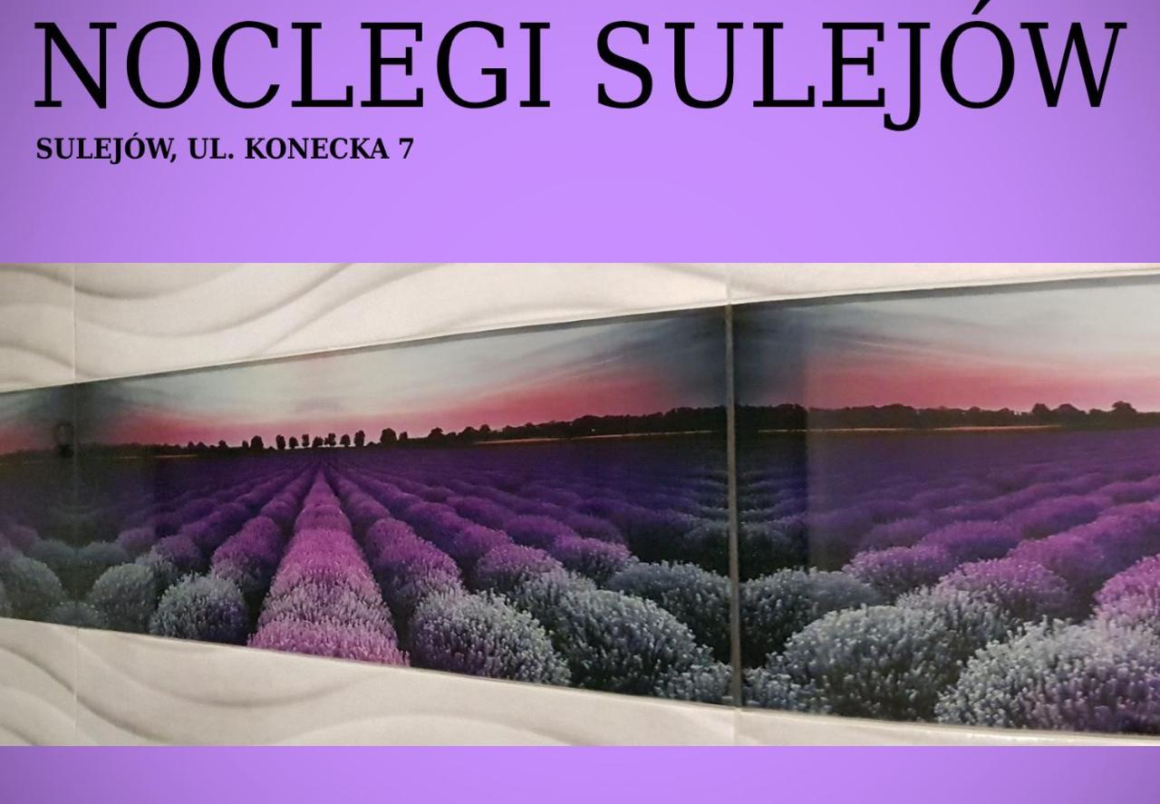 Noclegi Sulejów Sulejów